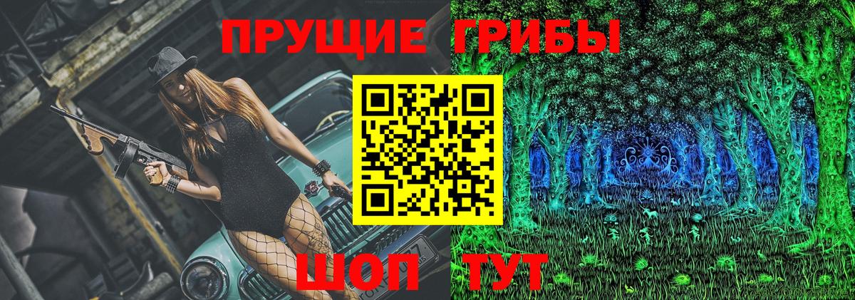Елизово  Галлюциногенные грибы мицелий  закладки  Вход с VPN 